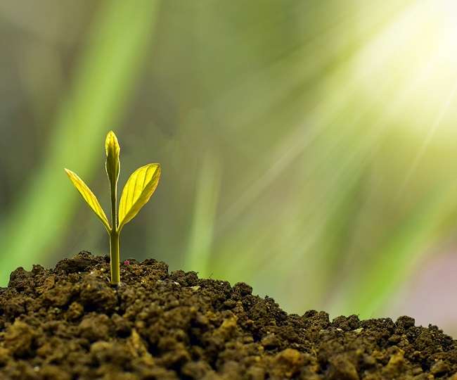 बिजनेस में चाहिए तरक्की और सफलता, तो अपनाएं फेंगशुई के ये 7 टिप्स