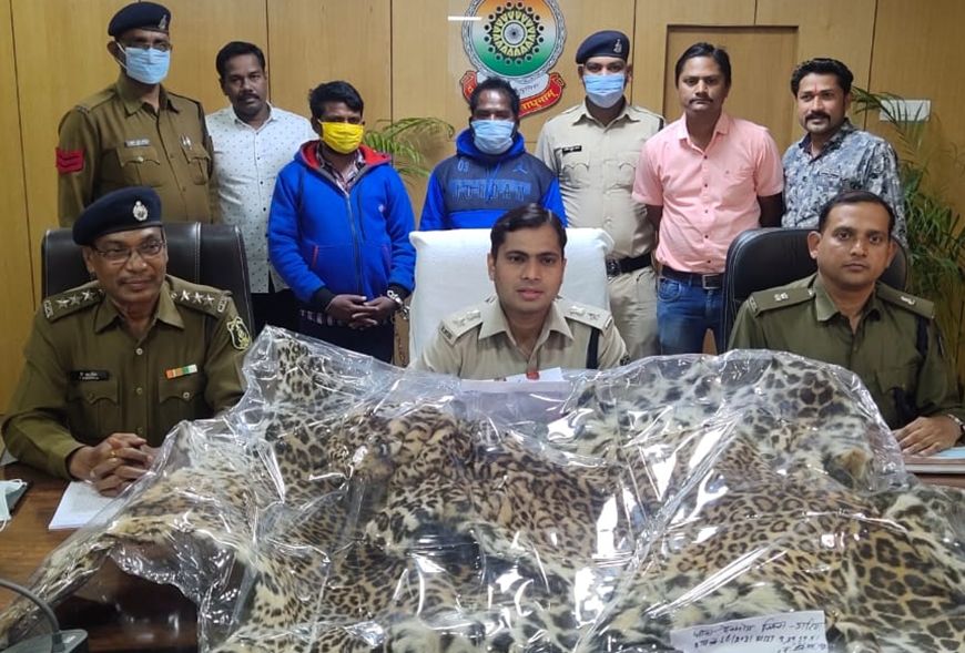 तेंदुए की खाल के साथ दो तस्कर गिरफ्तार