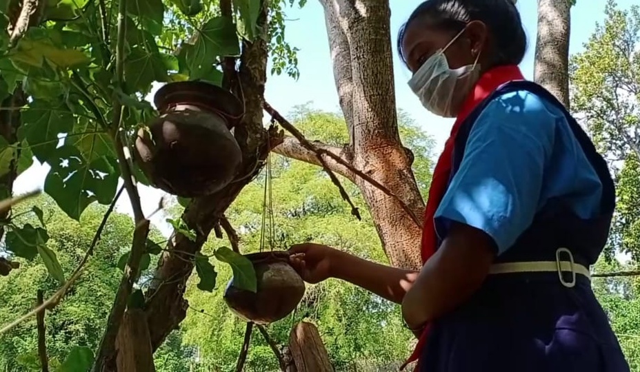 झुलसा देने वाली गर्मी से पक्षियों को बचाने में जुटे कब-बुलबुल