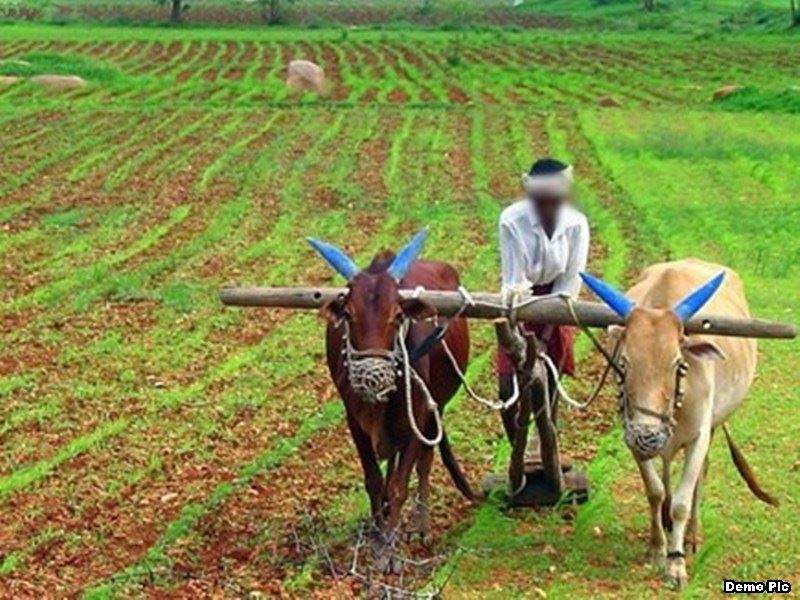 कृषि संबंधी नवीन जैव विविधता का पता लगाएंगे शहर के विशेषज्ञ