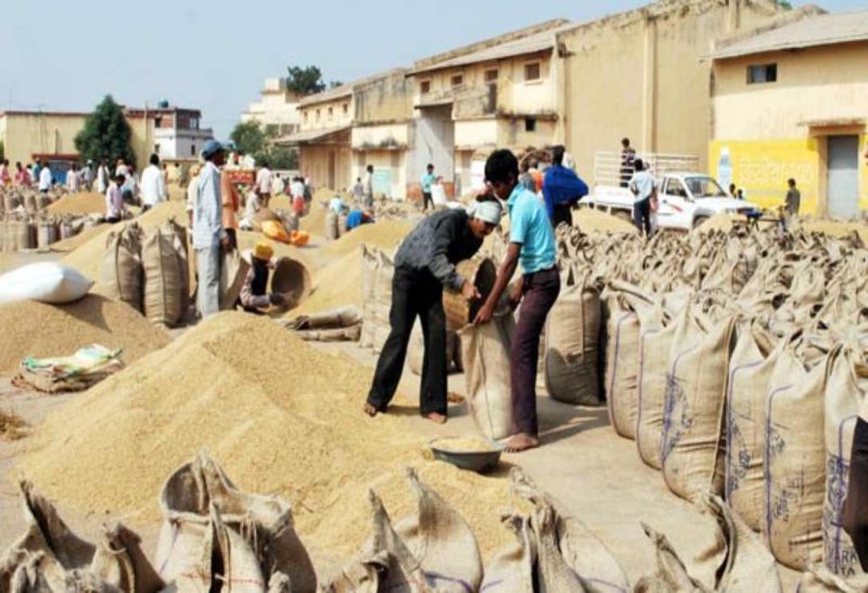 बड़ी खबर : छत्तीसगढ़ में इस साल जल्दी होगी धान खरीदी, इस तारीख को होगा फैसला…